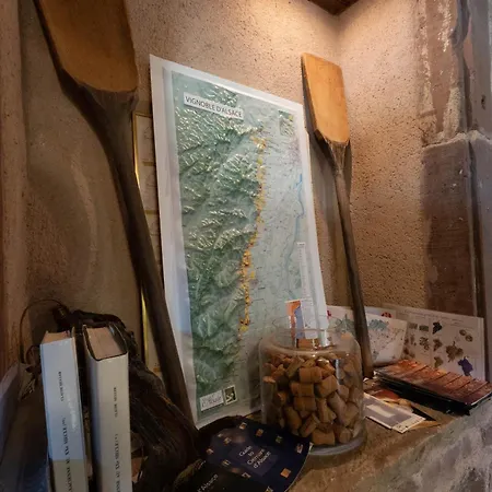 Aux Grains Nobles Appartement