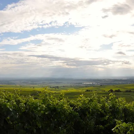 Aux Grains Nobles Apartman