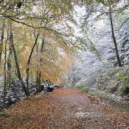 Aux Grains Nobles * Voegtlinshoffen