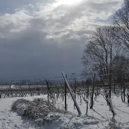 Aux Grains Nobles Apartamento Voegtlinshoffen